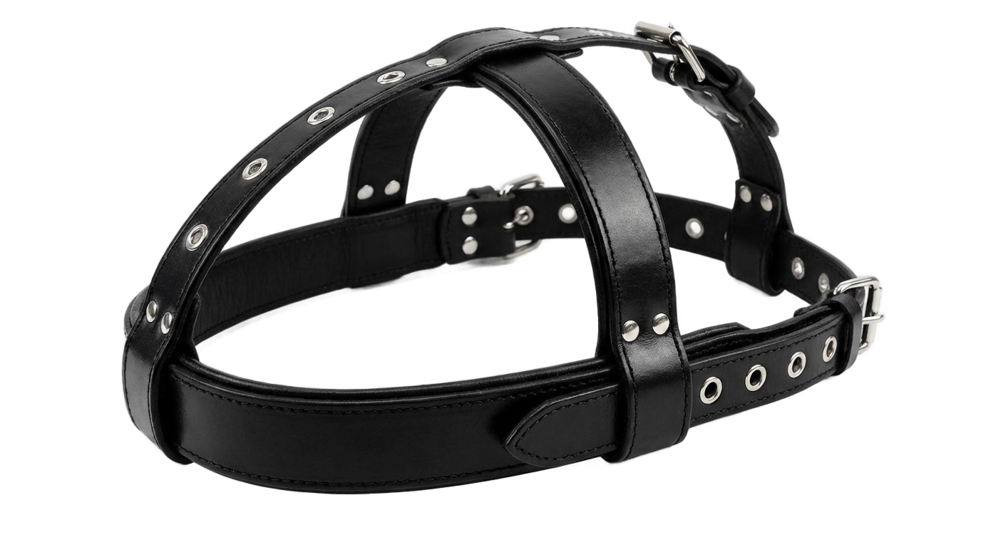 head belt png PNG transparent background
