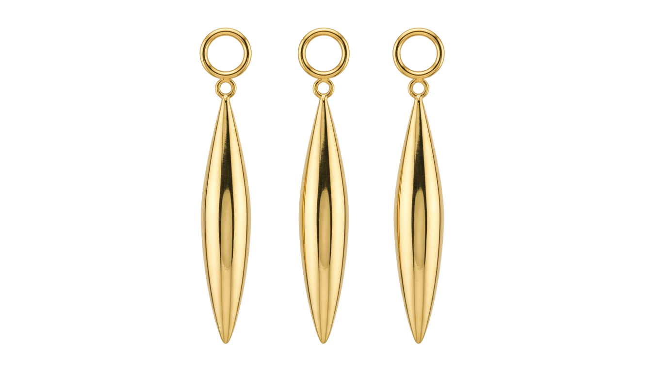 zoro earrings png PNG transparent background
