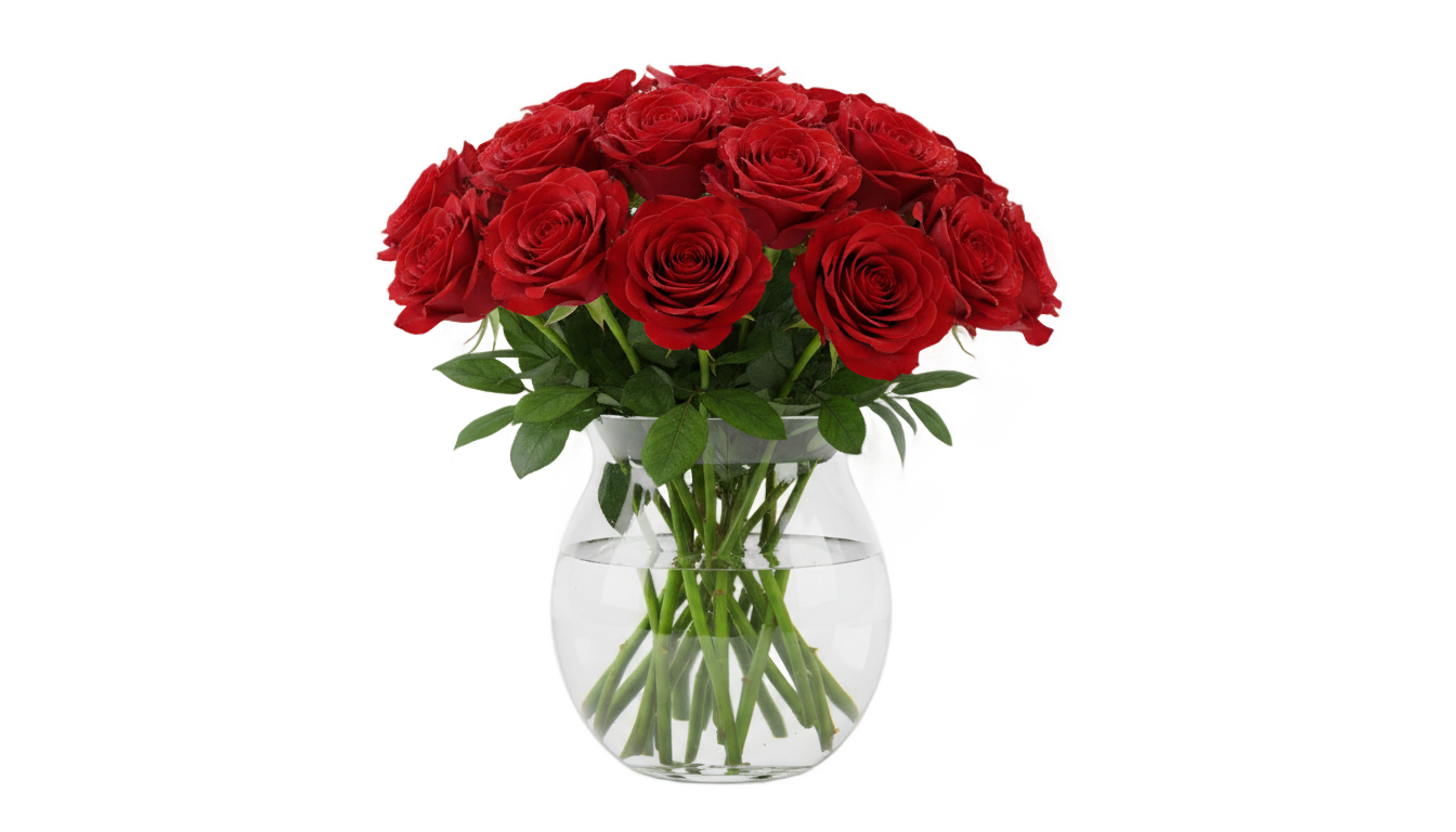 rose vase png PNG transparent background