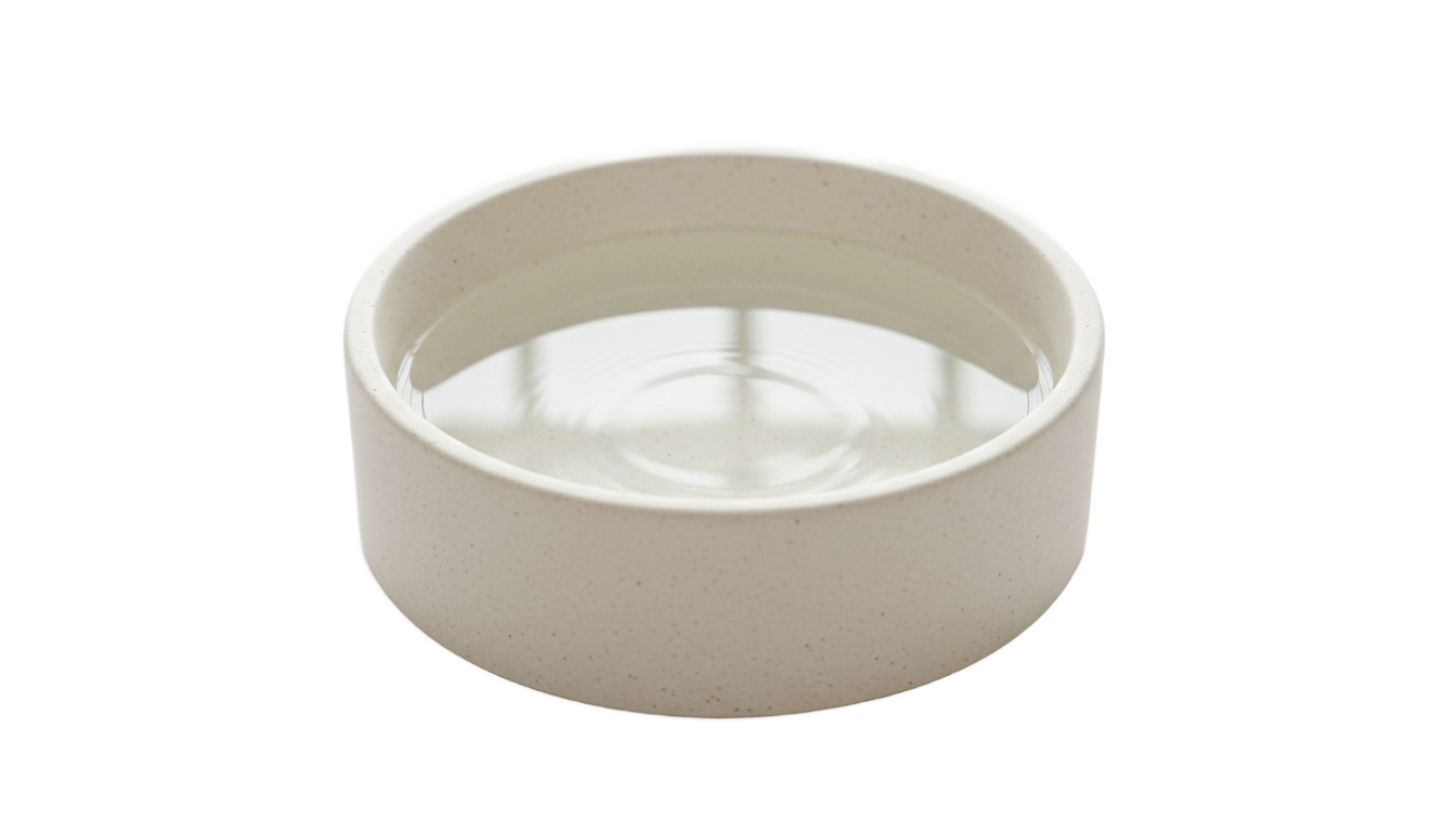 water bowl png PNG transparent background