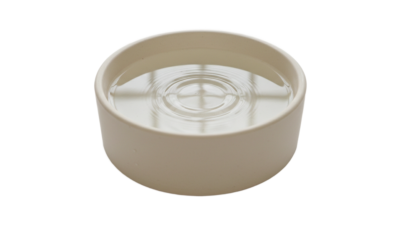 water bowl png PNG transparent background