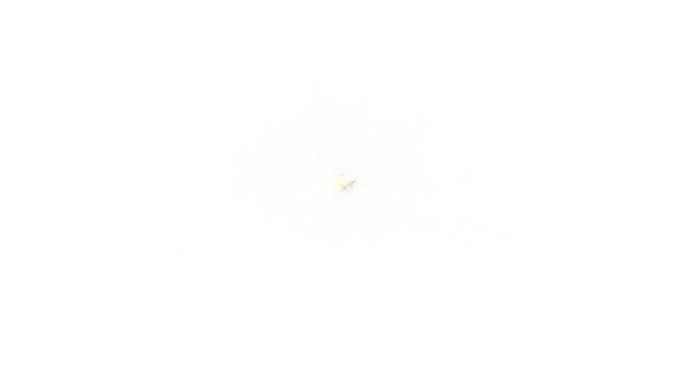 birthday sparkle png PNG transparent background