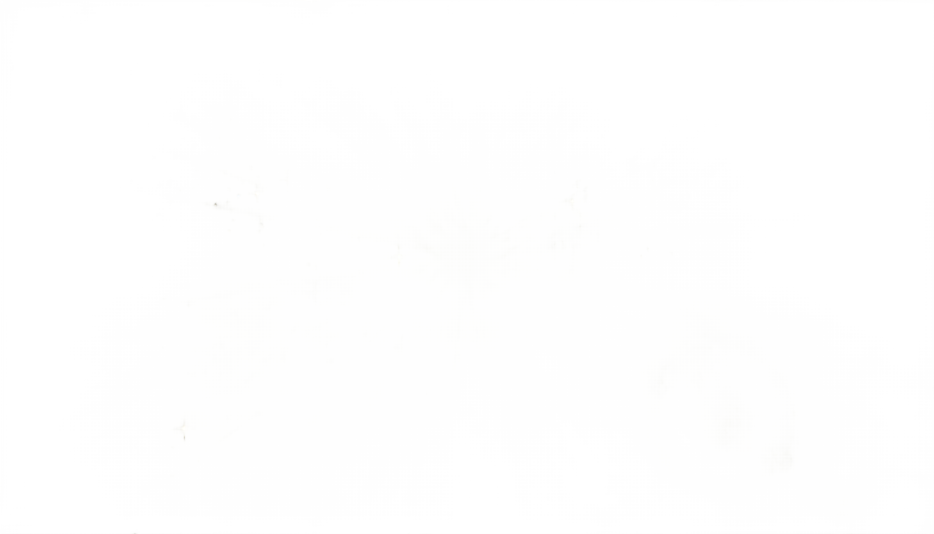 sparkle video png PNG transparent background