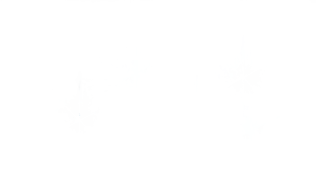 anime eye sparkle png PNG transparent background
