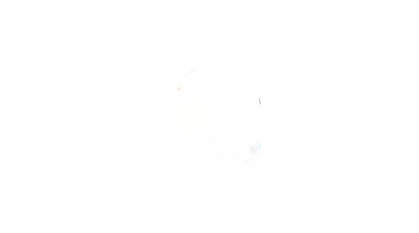 lens flare png video PNG transparent background