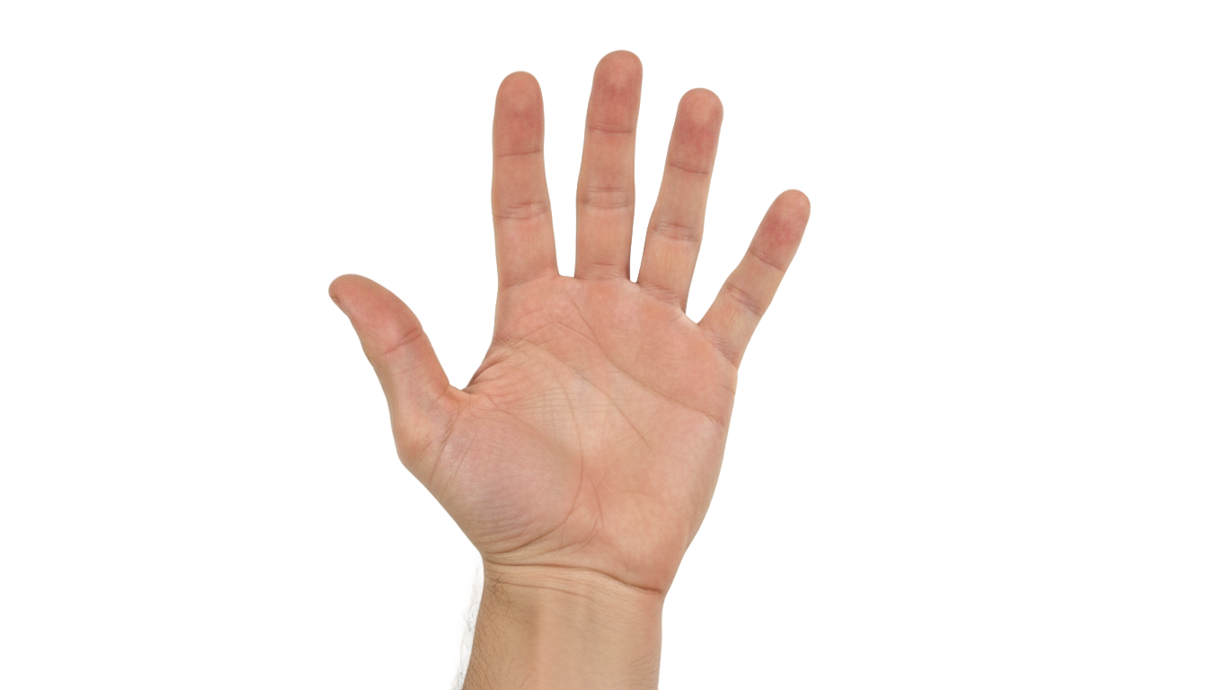 hand png no copyright PNG transparent background