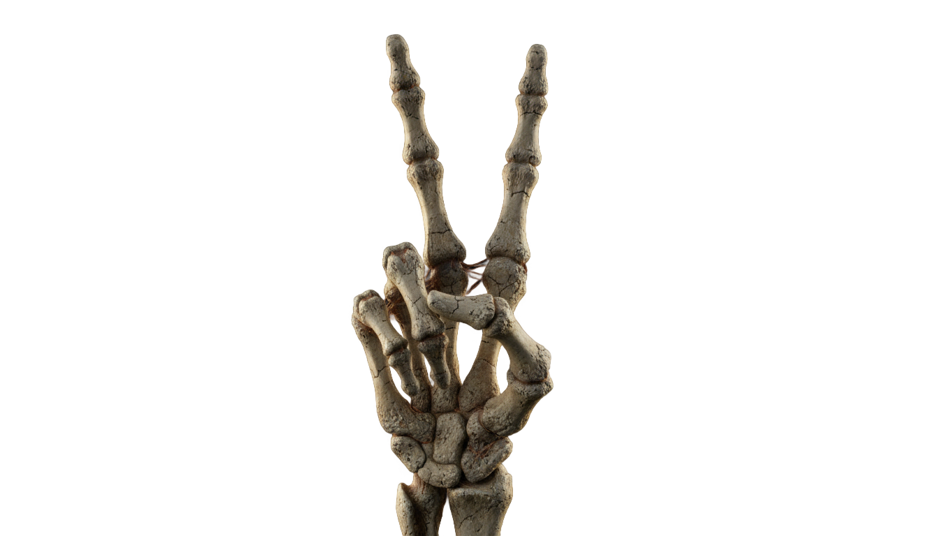 skeleton peace sign png PNG transparent background