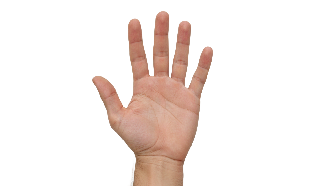hand png no copyright PNG transparent background