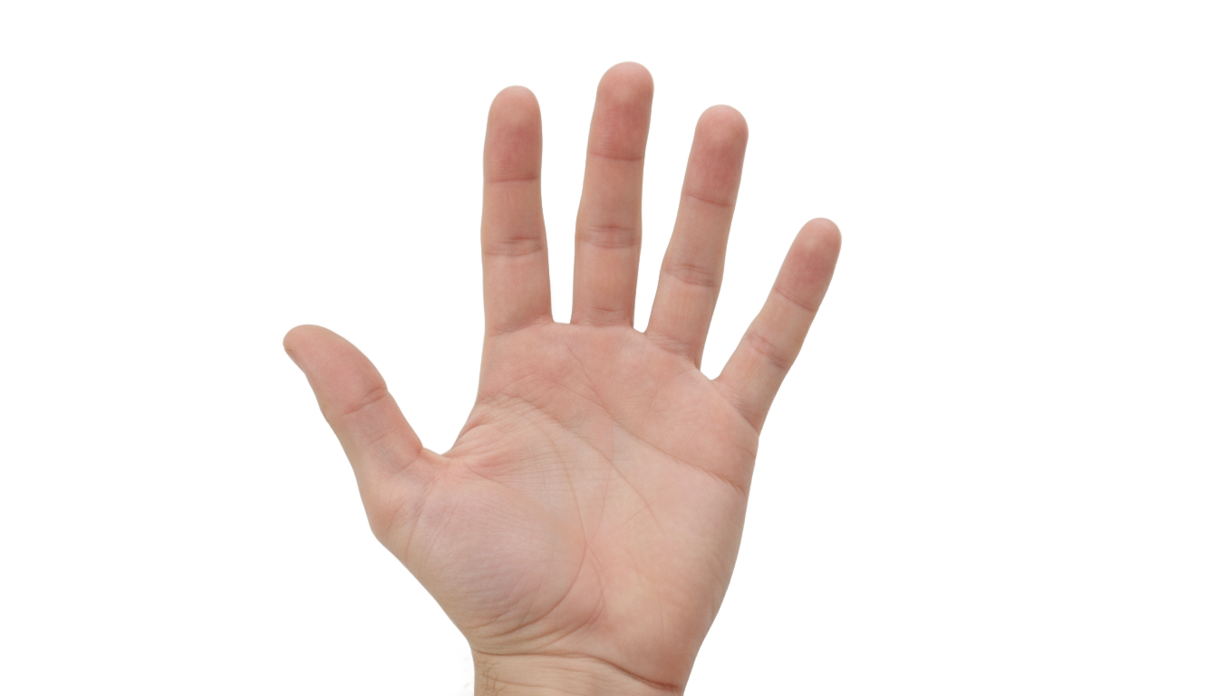 hand png no copyright PNG transparent background
