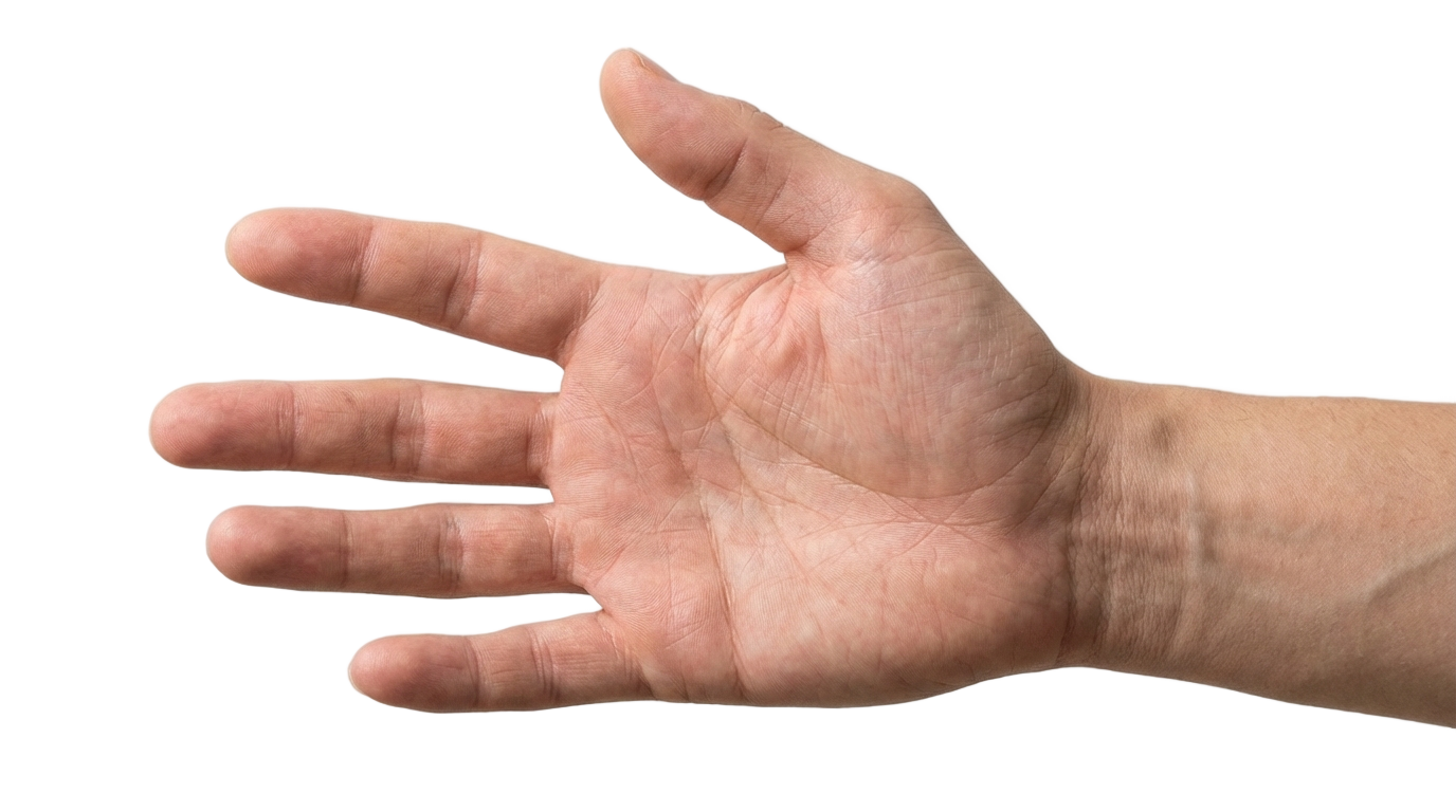 touch hand png copyright free PNG transparent background