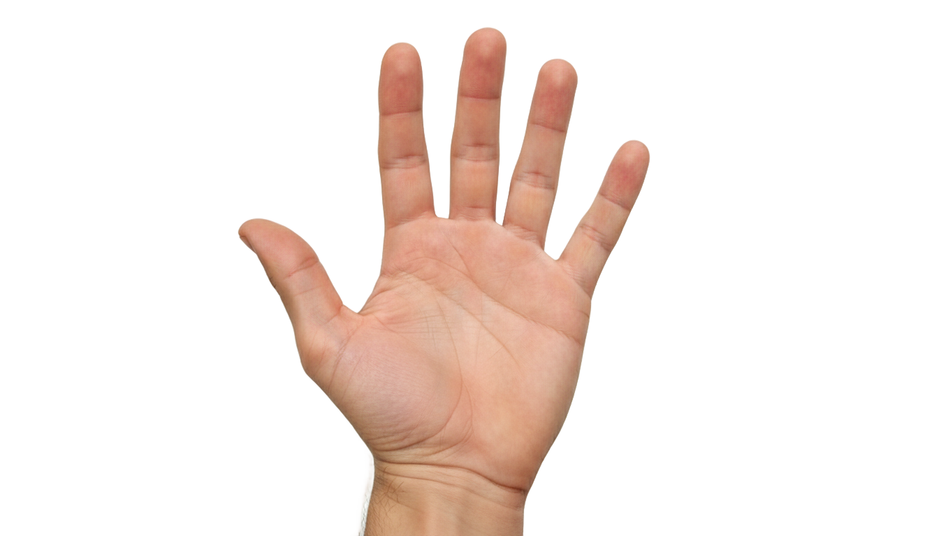 hand png no copyright PNG transparent background