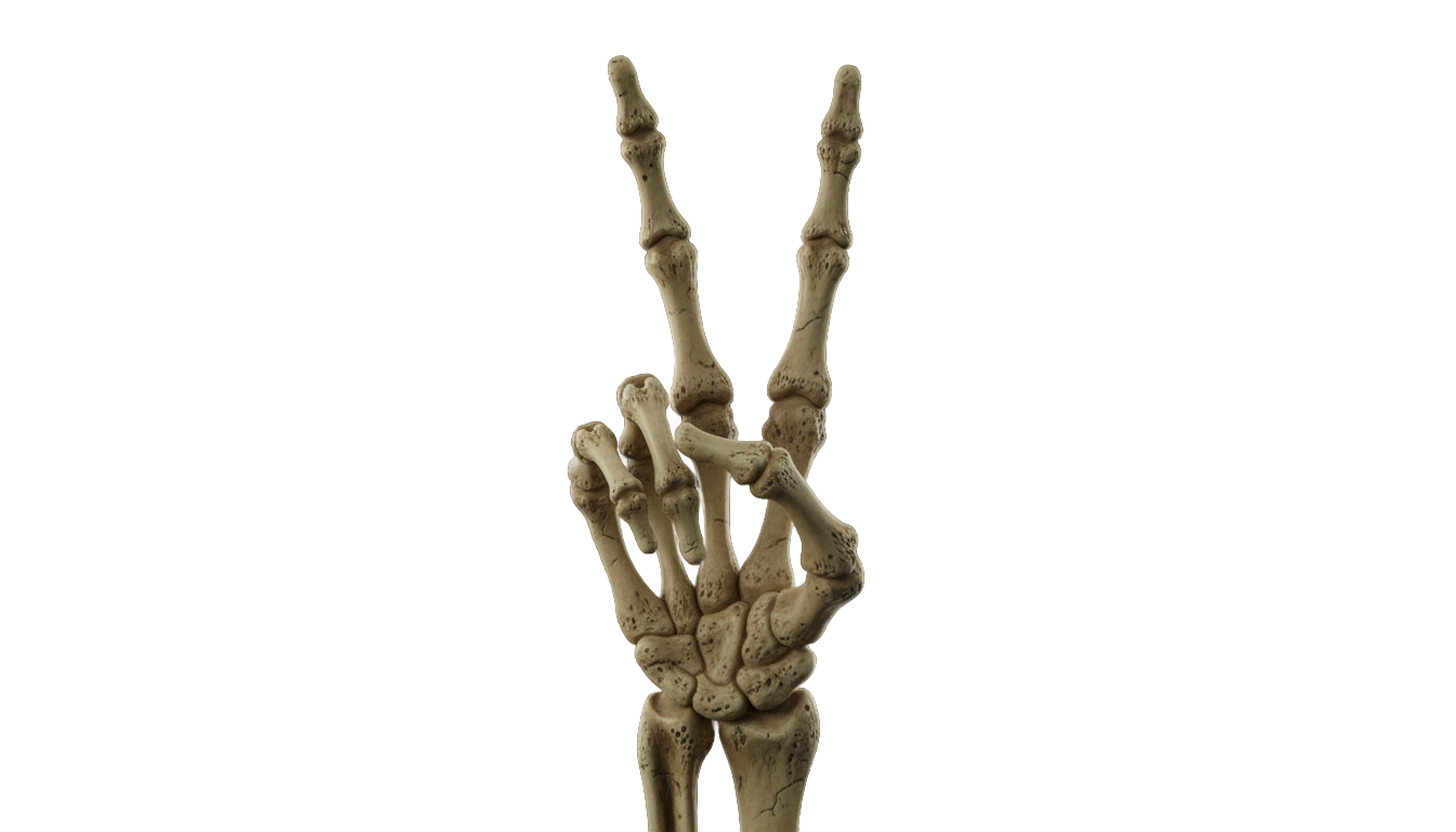 skeleton peace sign png PNG transparent background