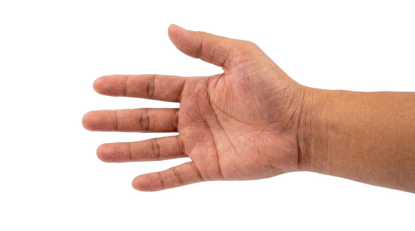 touch hand png copyright free PNG transparent background