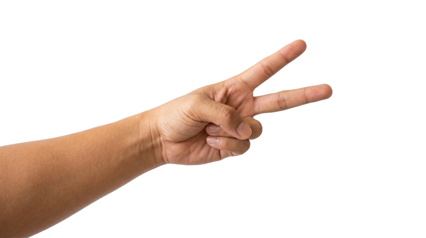peace sign png PNG transparent background