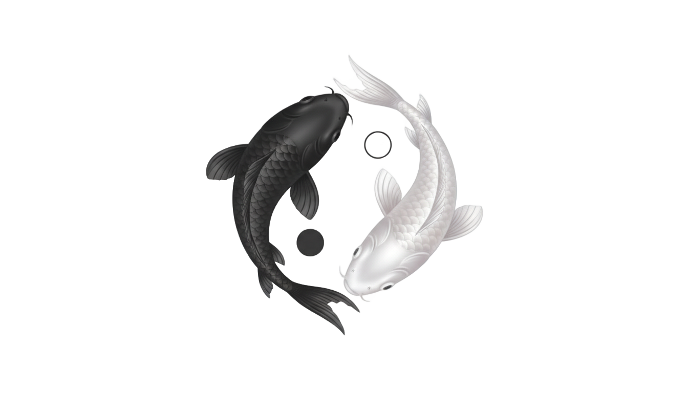 yin yang fish png PNG transparent background