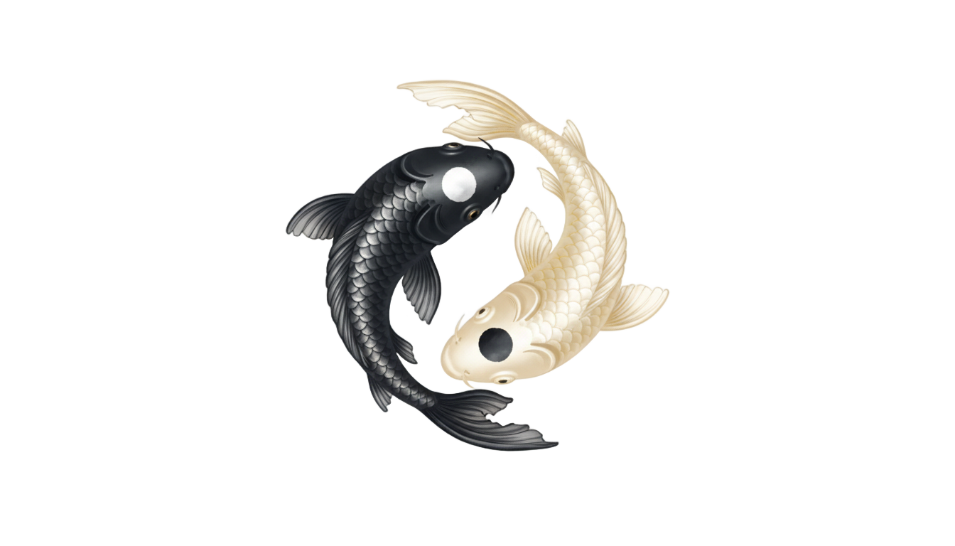 yin yang fish png PNG transparent background