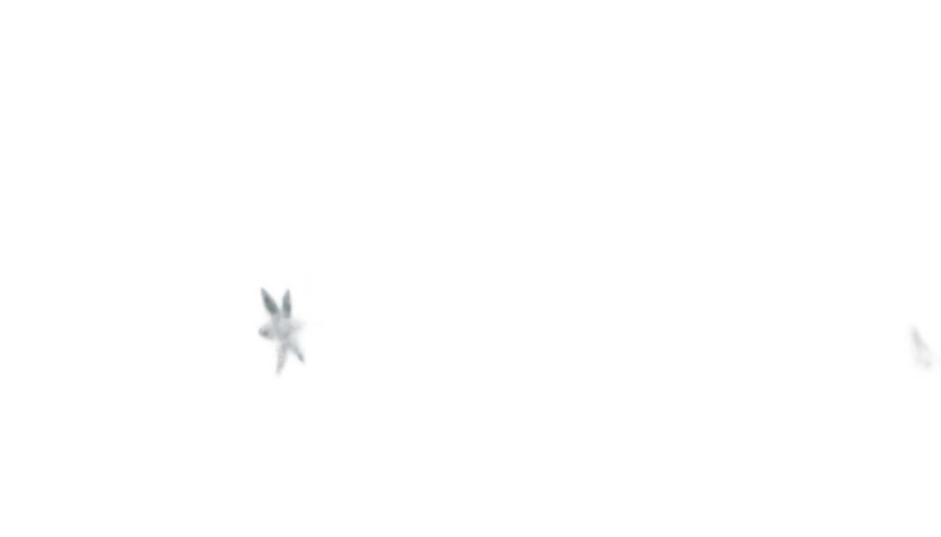 snowflakes png free no copyright PNG transparent background