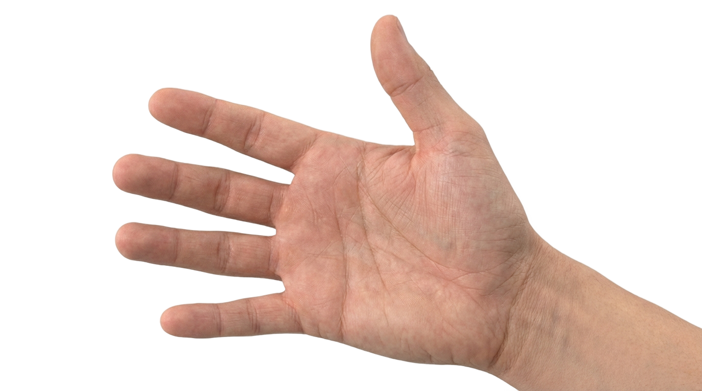 touch hand png copyright free PNG transparent background