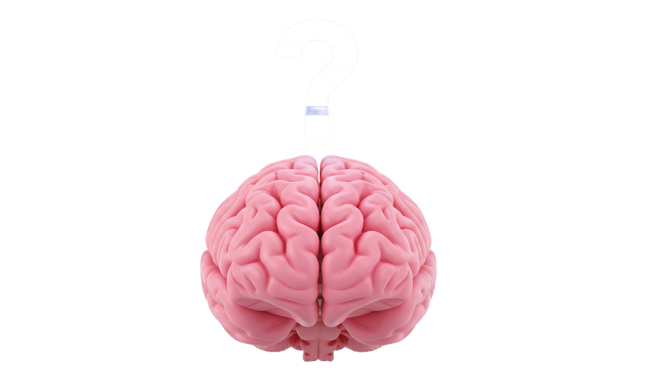 brain with question mark png PNG transparent background