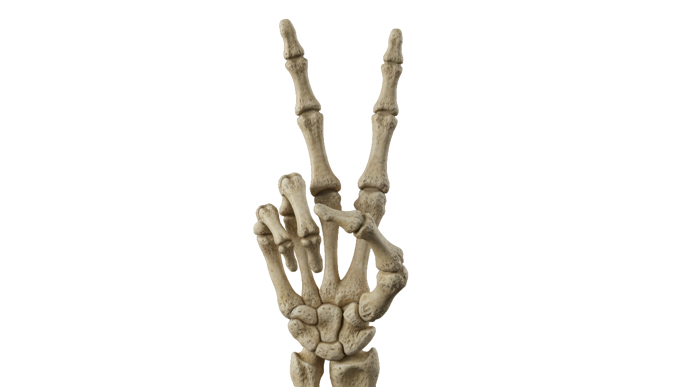 skeleton peace sign png PNG transparent background