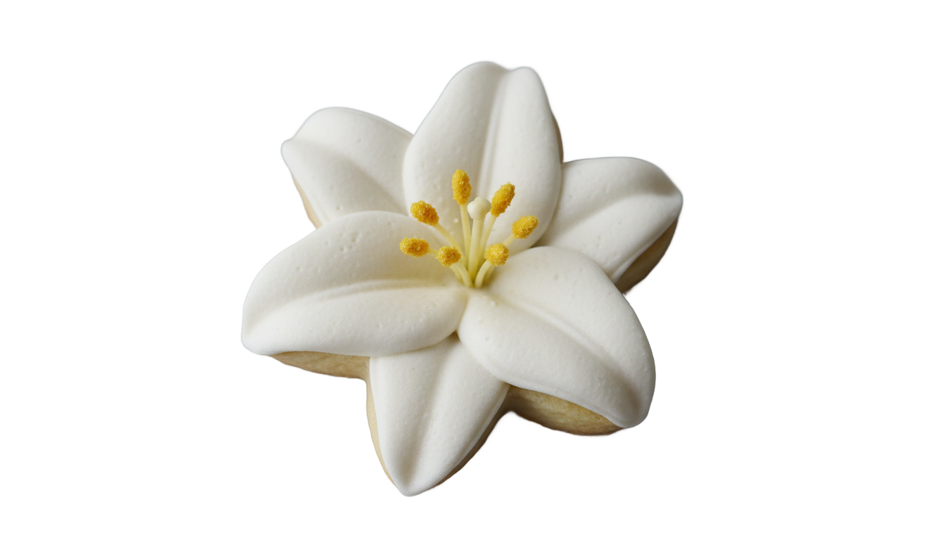 white lily cookie png PNG transparent background