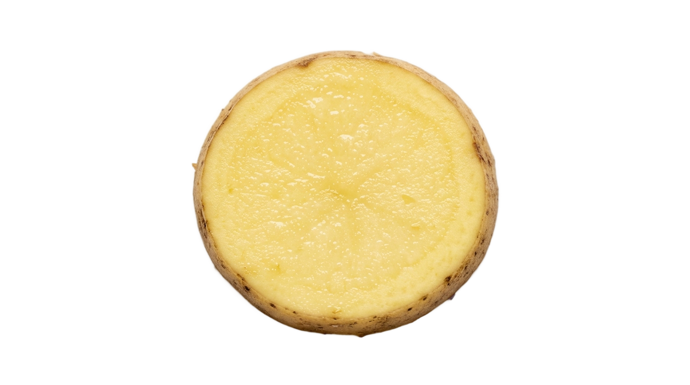 potato slice png PNG transparent background