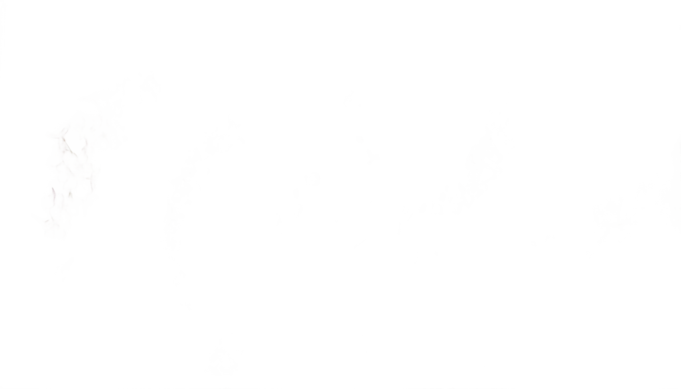 cherry blossom effect png PNG transparent background