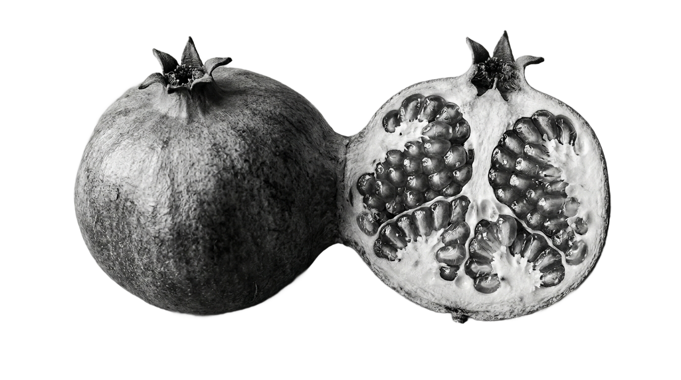 pomegranate png black and white PNG transparent background