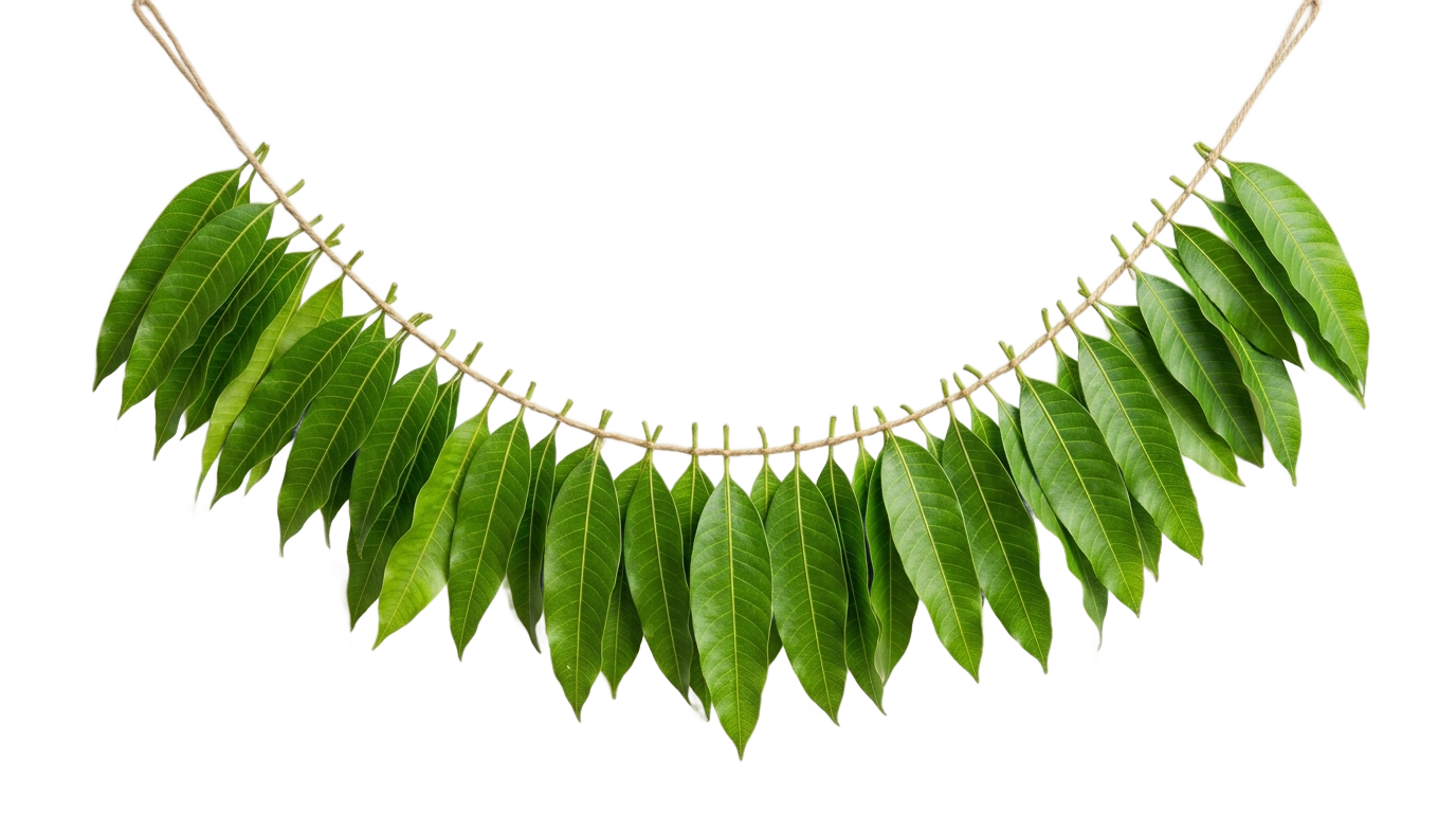 mango leaves thoranam png PNG transparent background