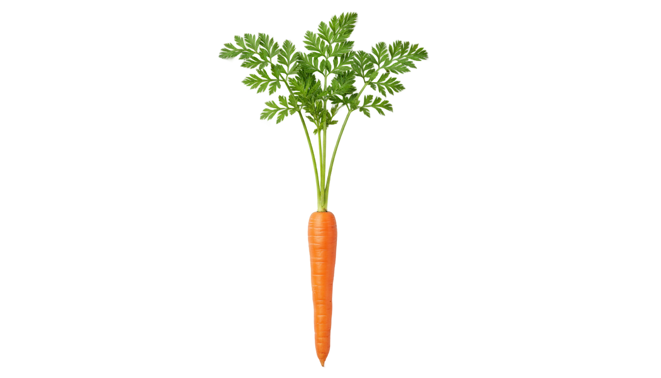 carrot sticker png PNG transparent background