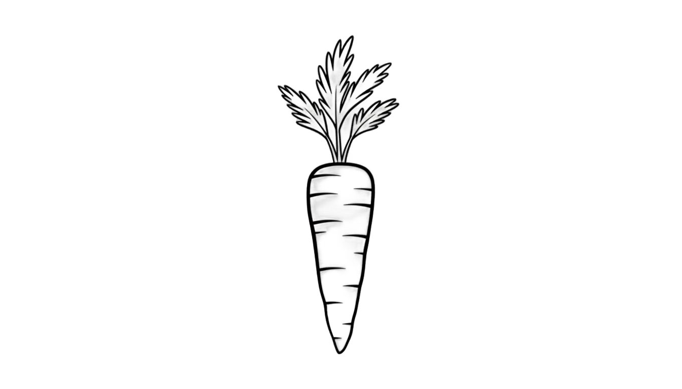 carrot outline png PNG transparent background
