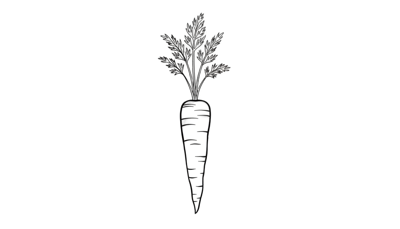 carrot outline png PNG transparent background
