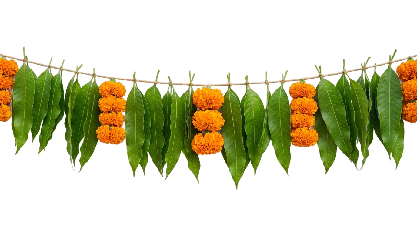 mango leaf thoranam png PNG transparent background