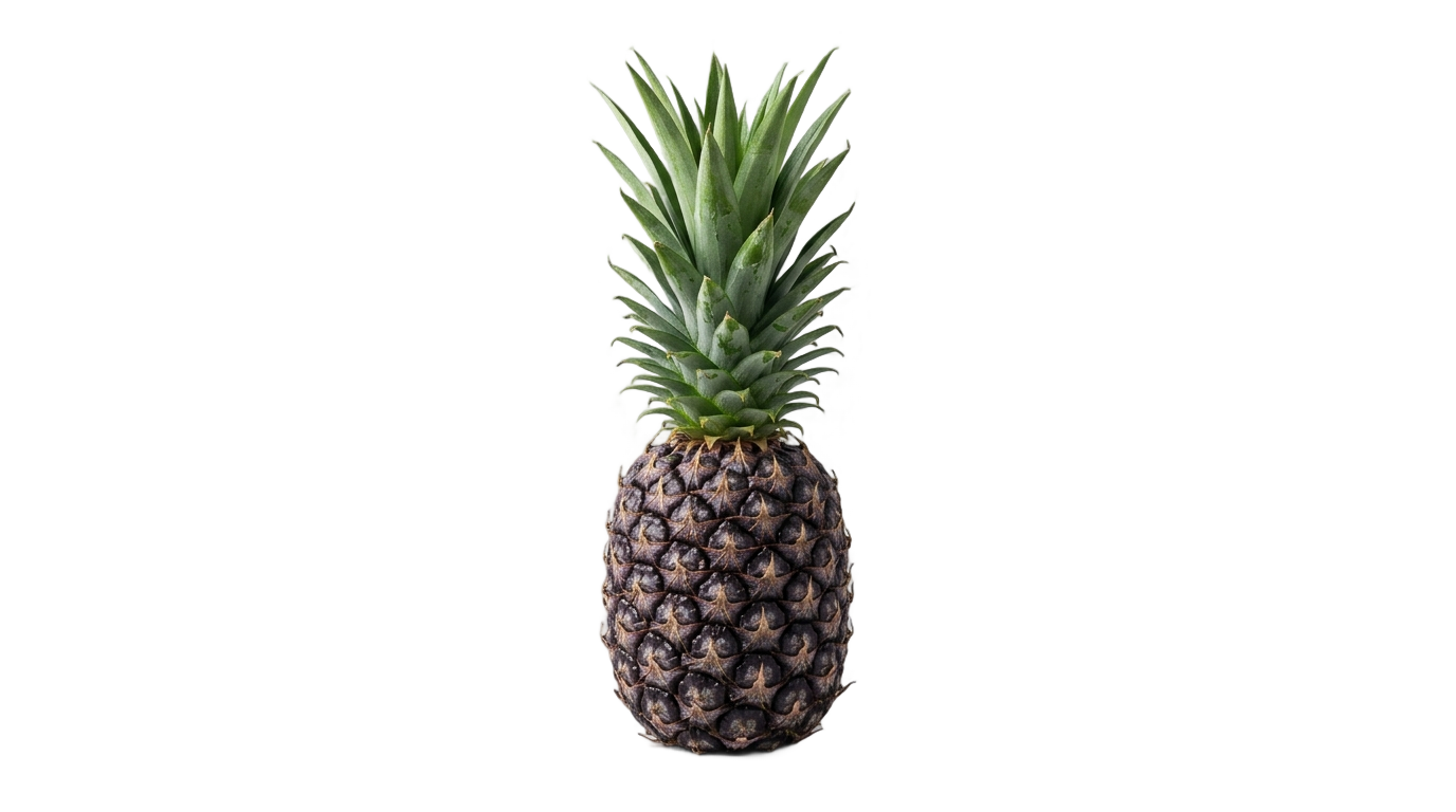 black pineapple png PNG transparent background
