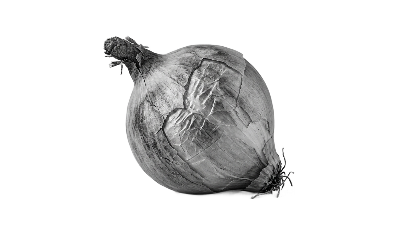 onion png black and white PNG transparent background