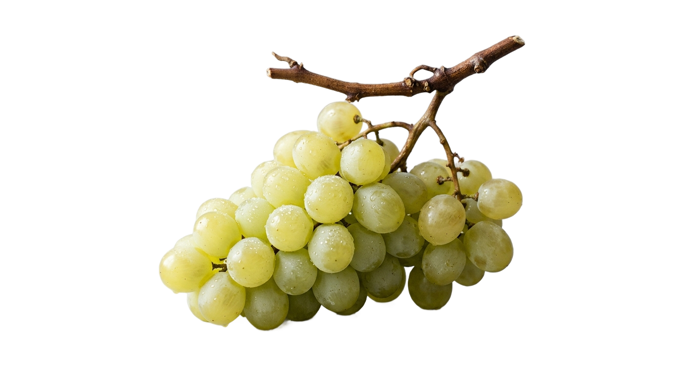 white grape png PNG transparent background