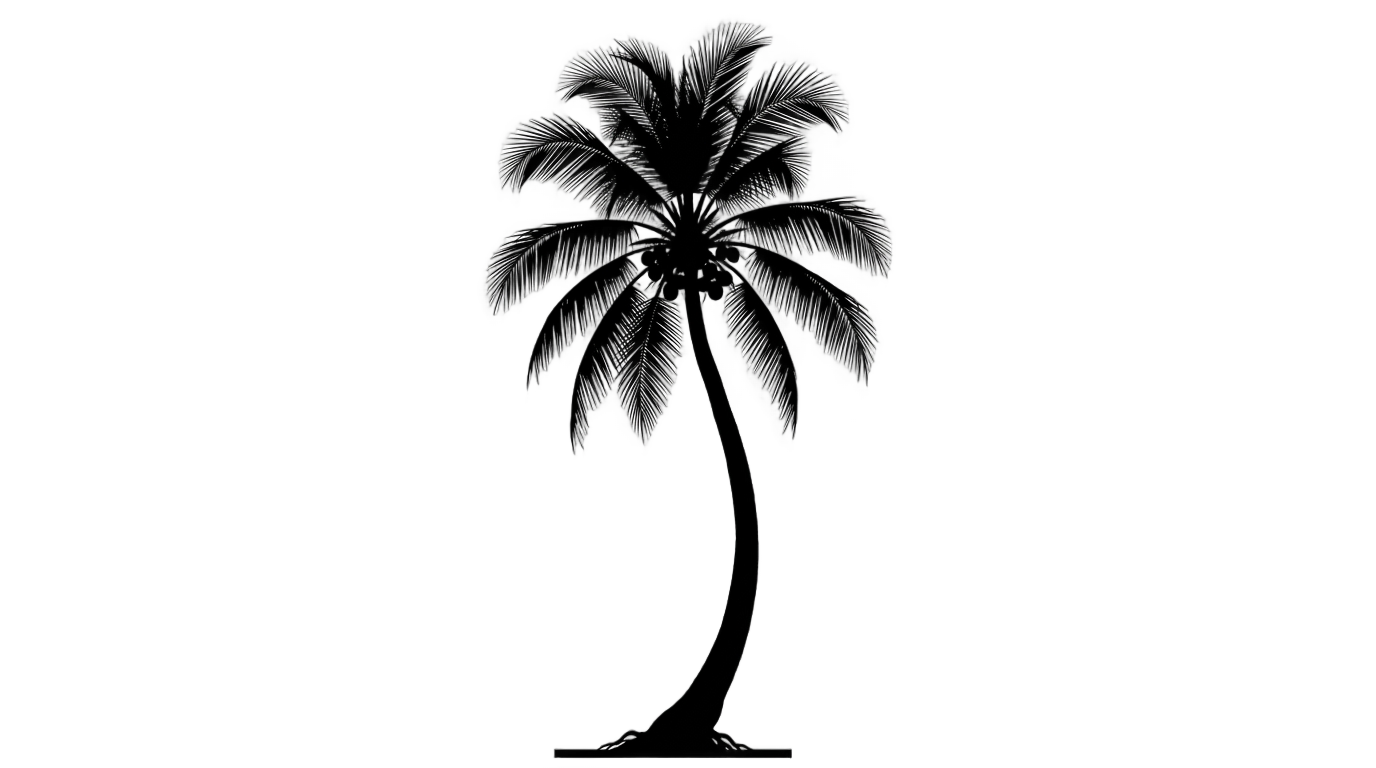 coconut tree png black and white PNG transparent background