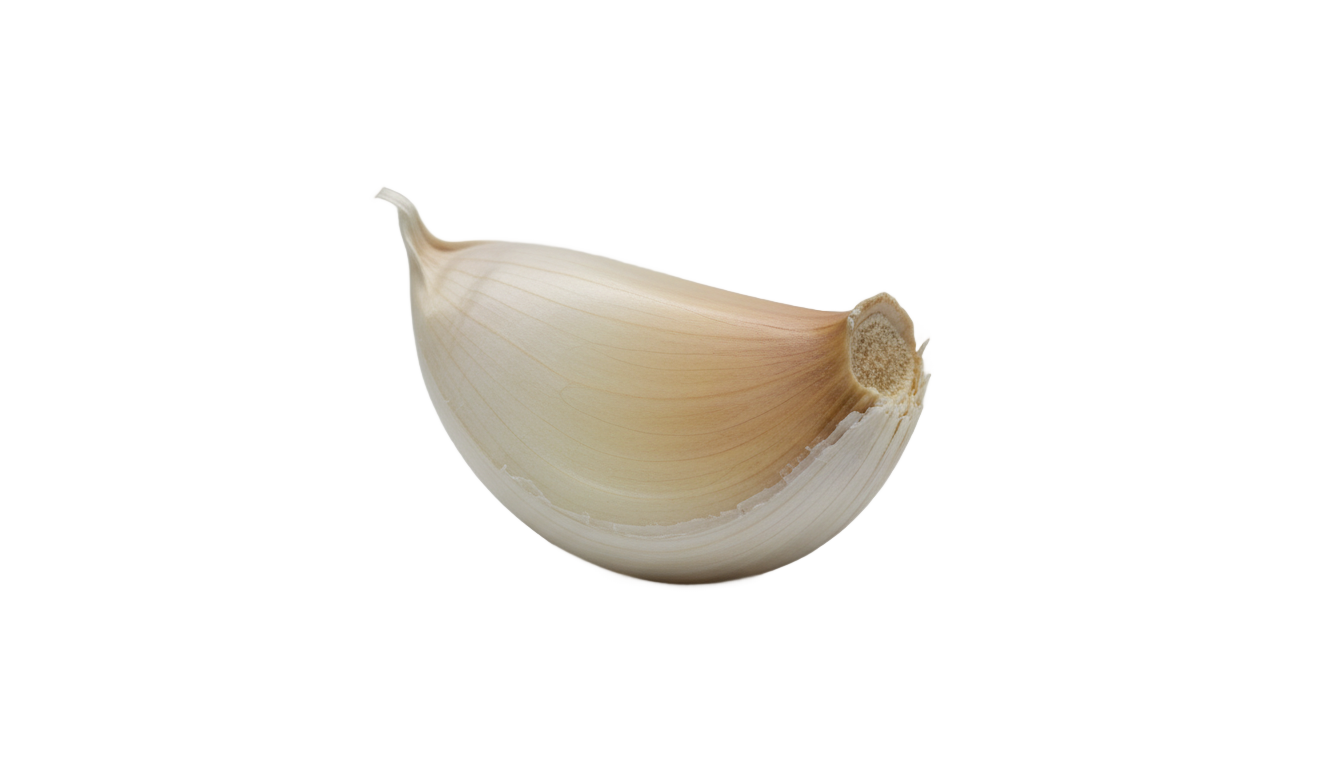 garlic clove png PNG transparent background