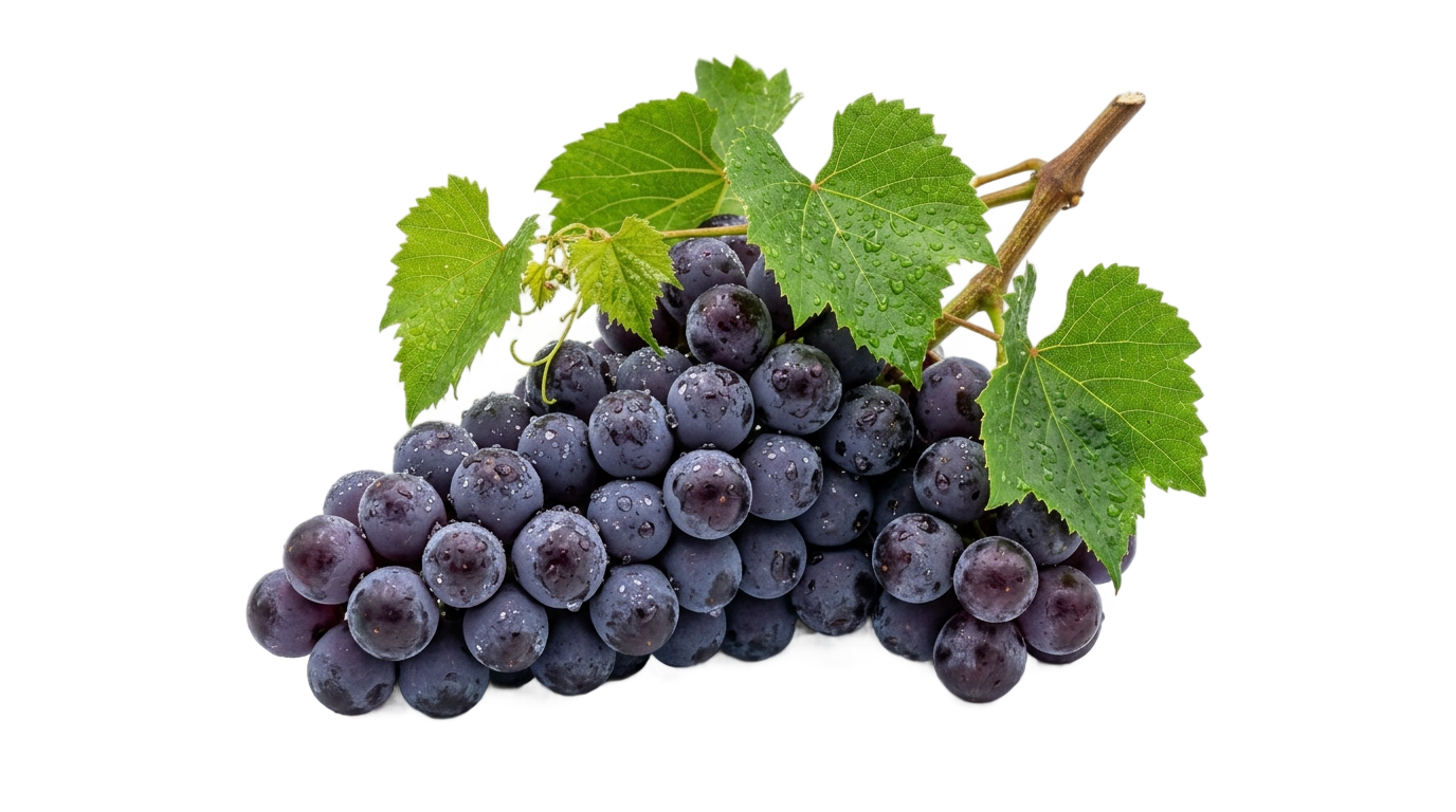 grape fruit png PNG transparent background