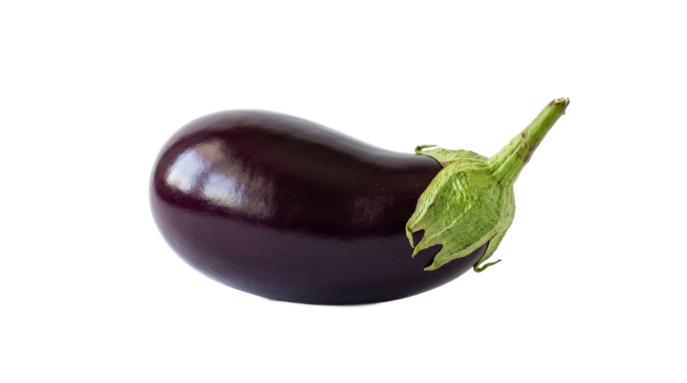 eggplant vector png PNG transparent background