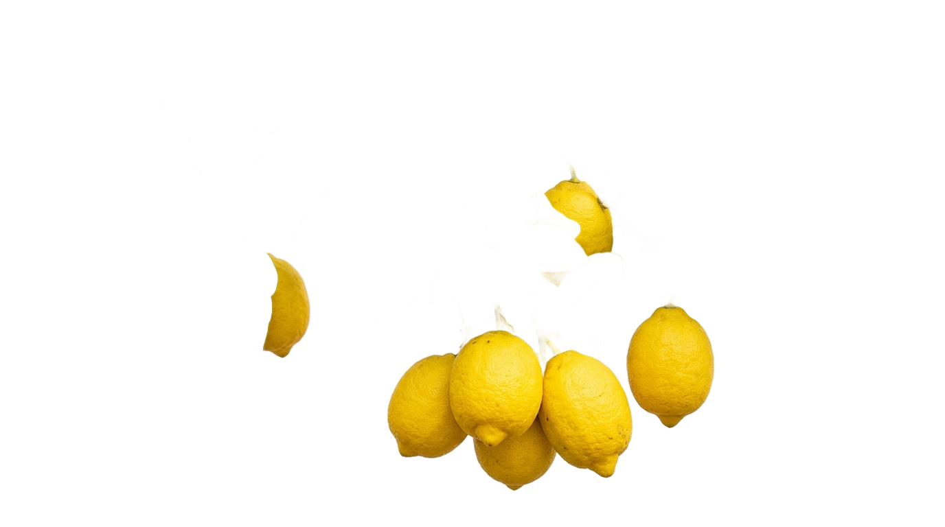 lemon branch png PNG transparent background