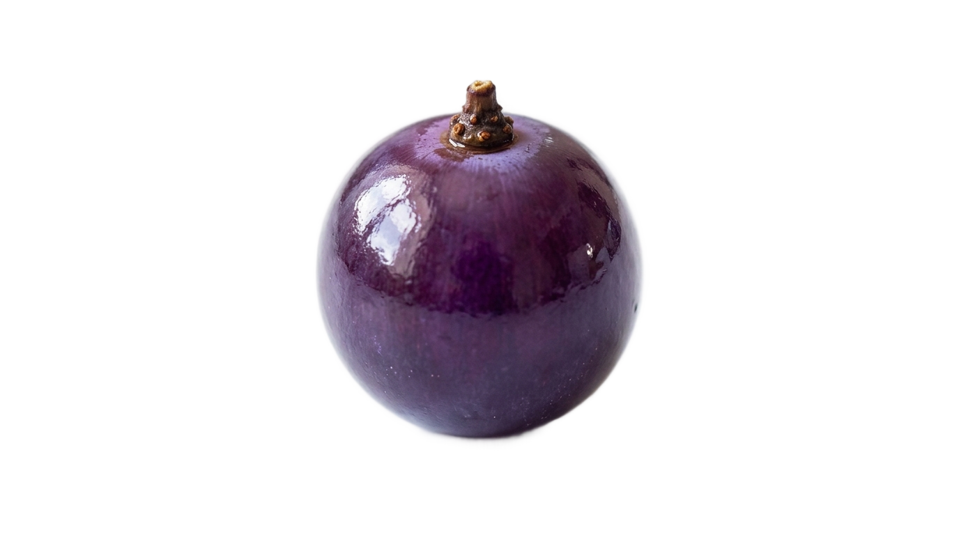 one grape png PNG transparent background