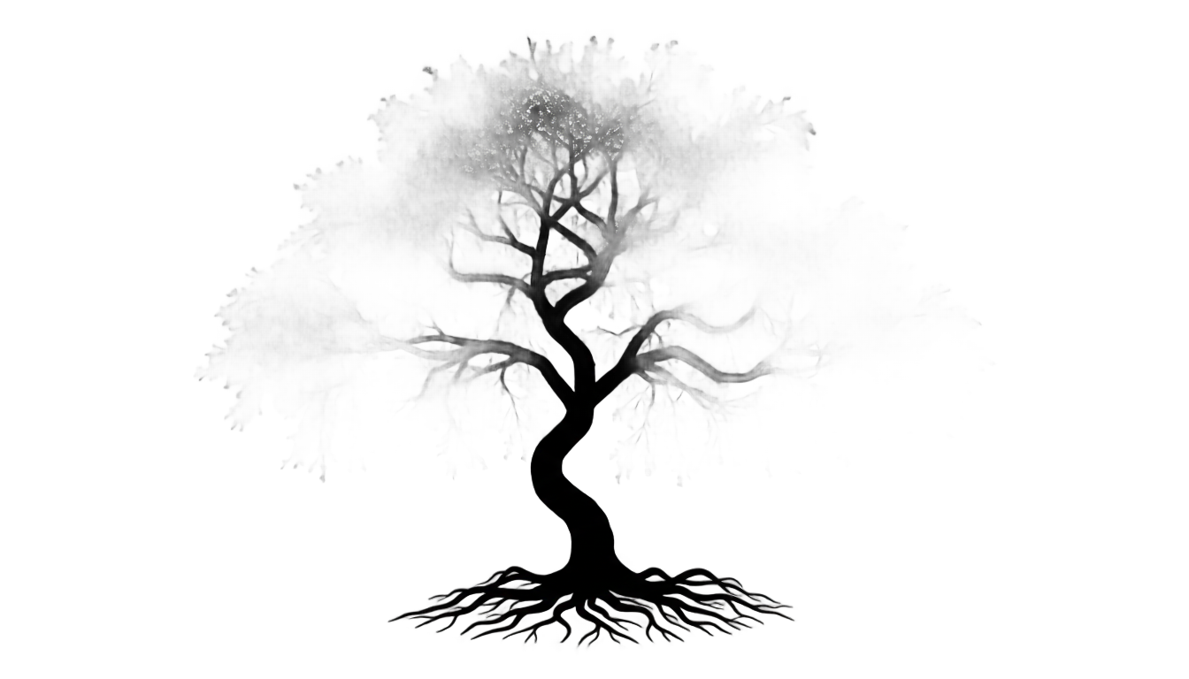 cherry blossom tree silhouette png PNG transparent background