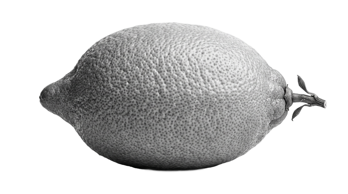 lemon black and white png PNG transparent background