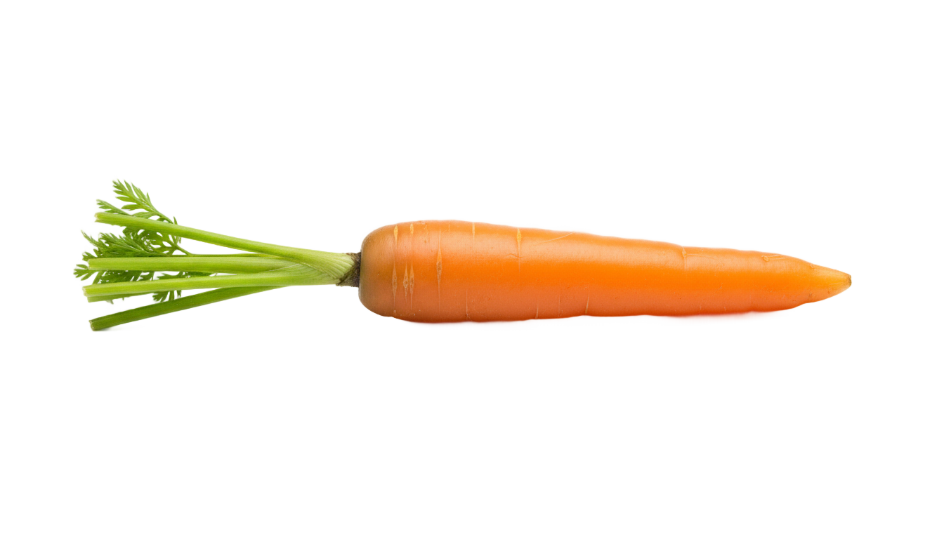 baby carrot png PNG transparent background