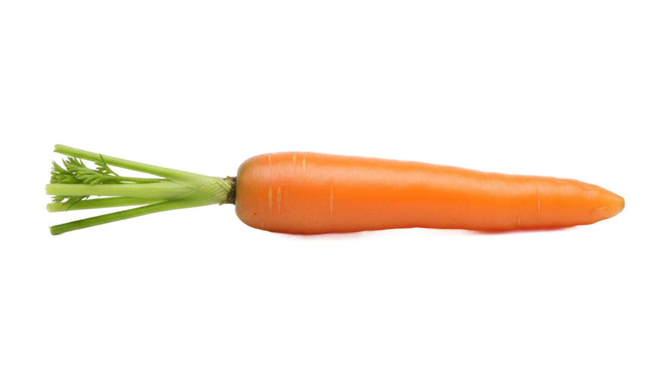 baby carrot png PNG transparent background