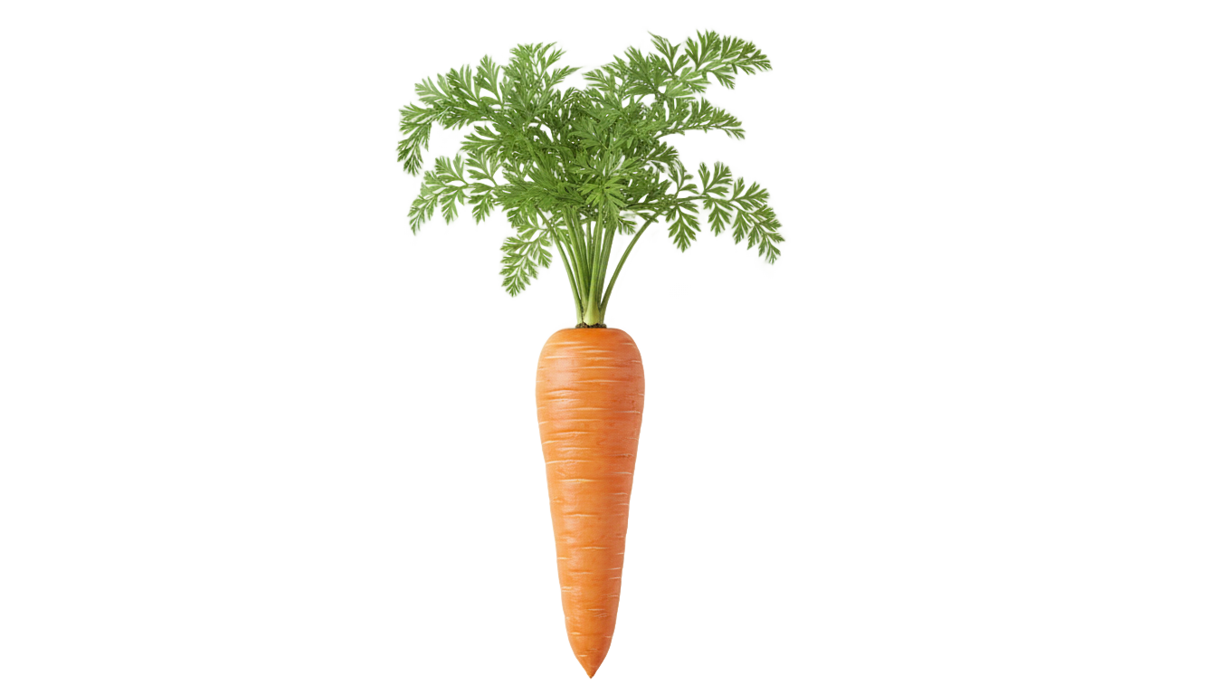carrot sticker png PNG transparent background