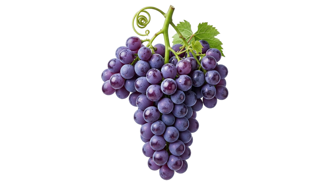 grape prime png PNG transparent background