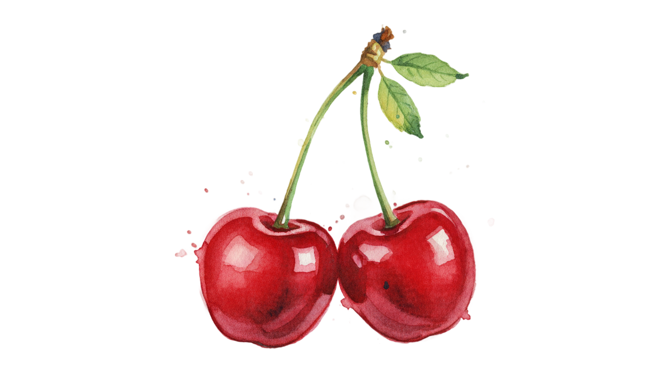 cherry watercolor png PNG transparent background