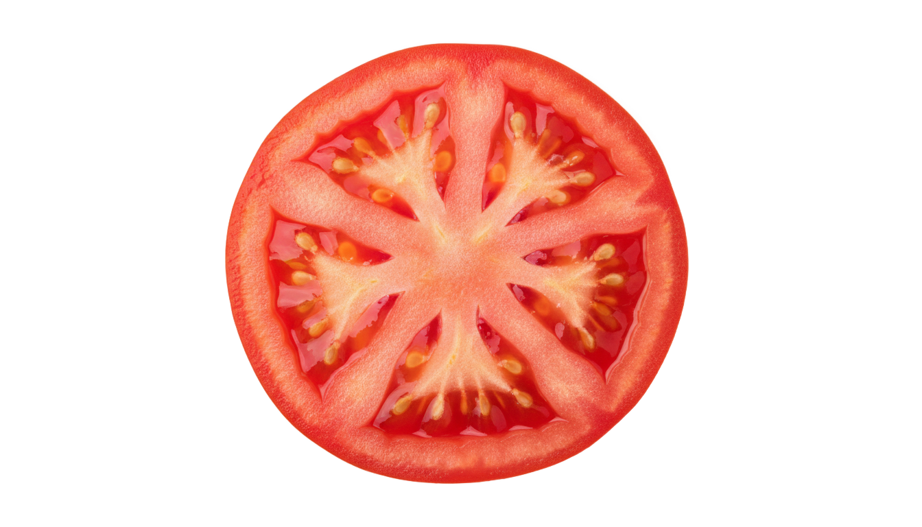 tomato slice png PNG transparent background